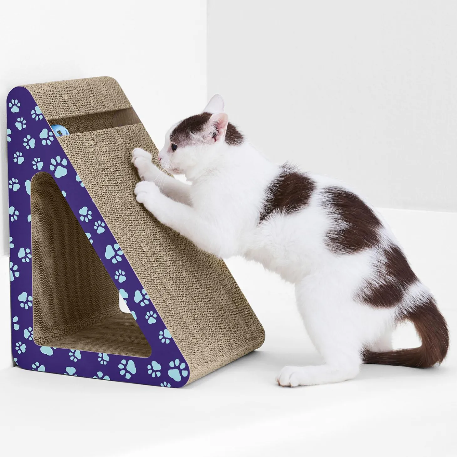 Incline Cat Scratcher