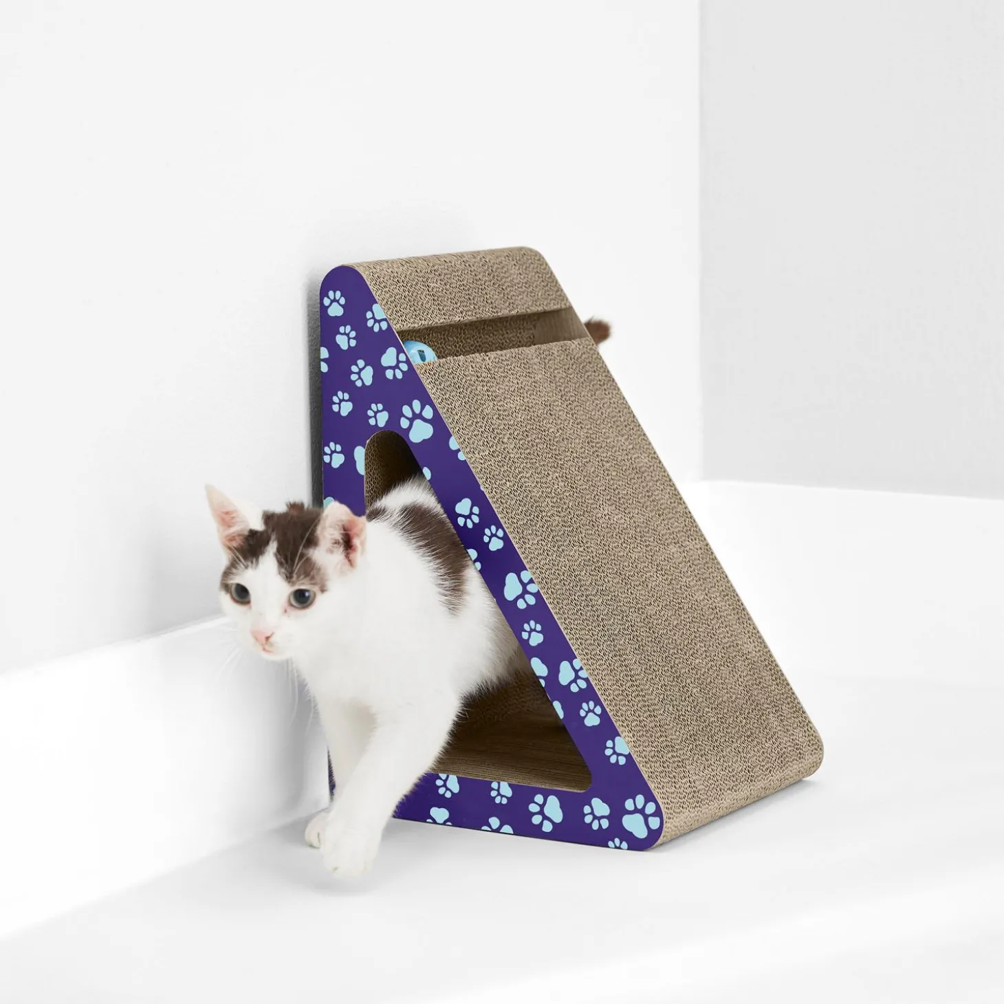 Incline Cat Scratcher