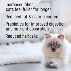 Indoor Chicken Meal & Oatmeal Recipe Cat Food