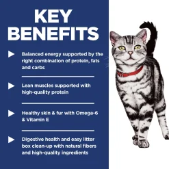 Indoor Chicken Recipe Adult Cat Food