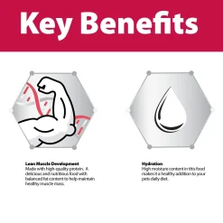 Indoor Salmon Formula Pate Adult Cat Food