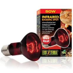 Infrared Basking R20 Bulb