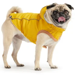 Insulated Yellow Raincoat