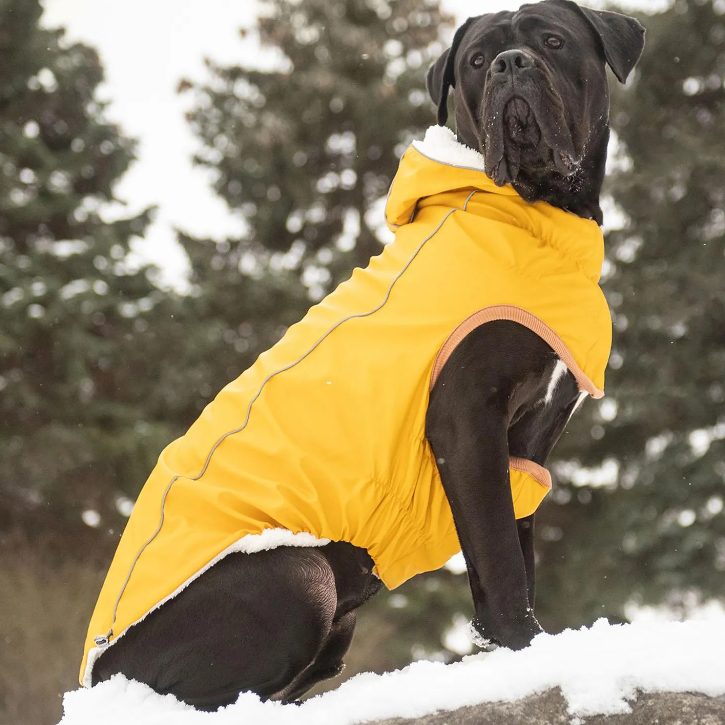 Insulated Yellow Raincoat