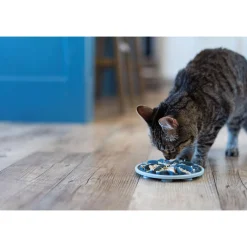 Interactive Grey Slow Feeder