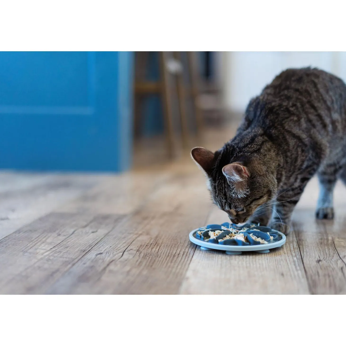 Interactive Grey Slow Feeder