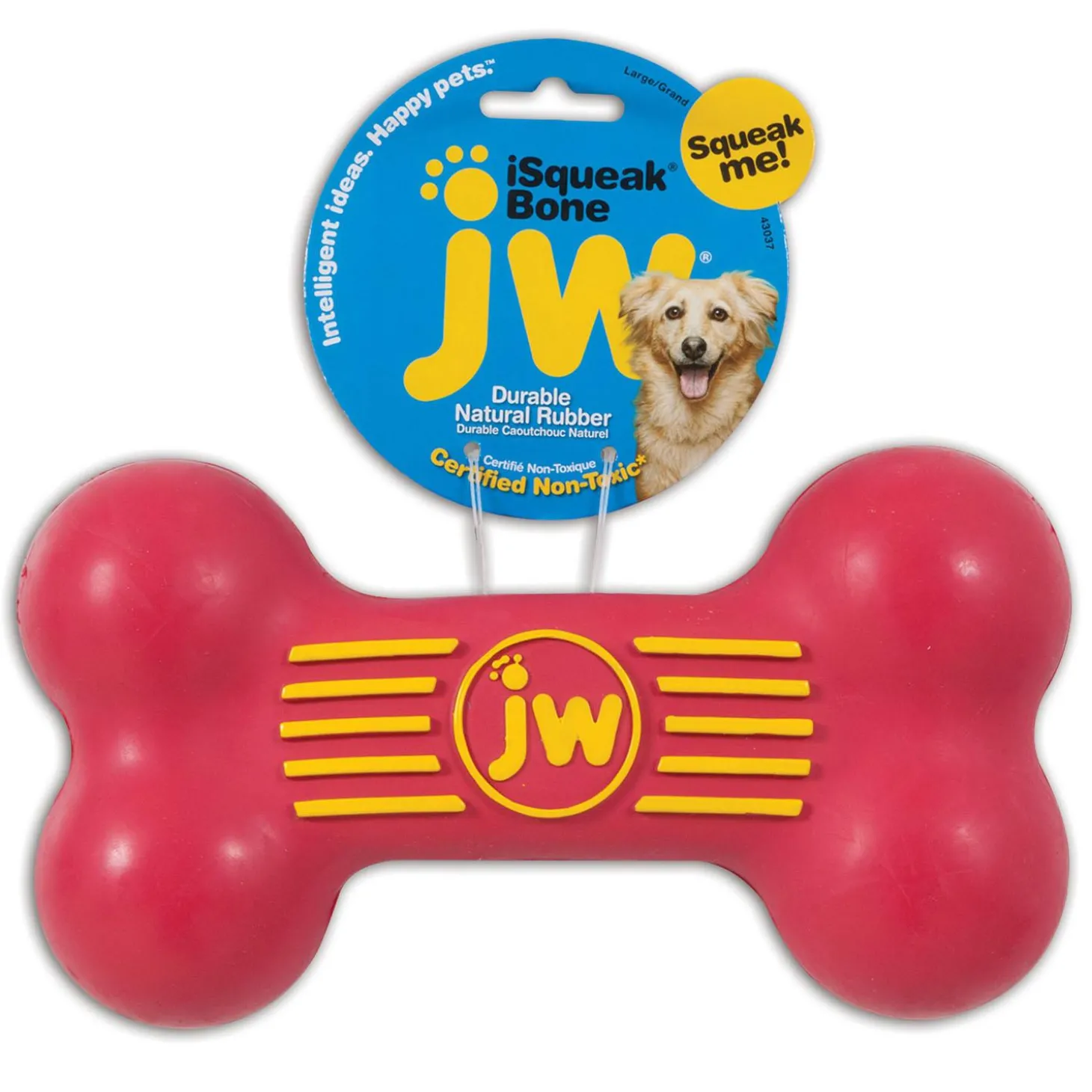 iSqueak Bone Assorted Colours Dog Toy