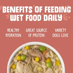 Jammin' Salmon with Chicken & Salmon in Pumpkin Soup Dog Food