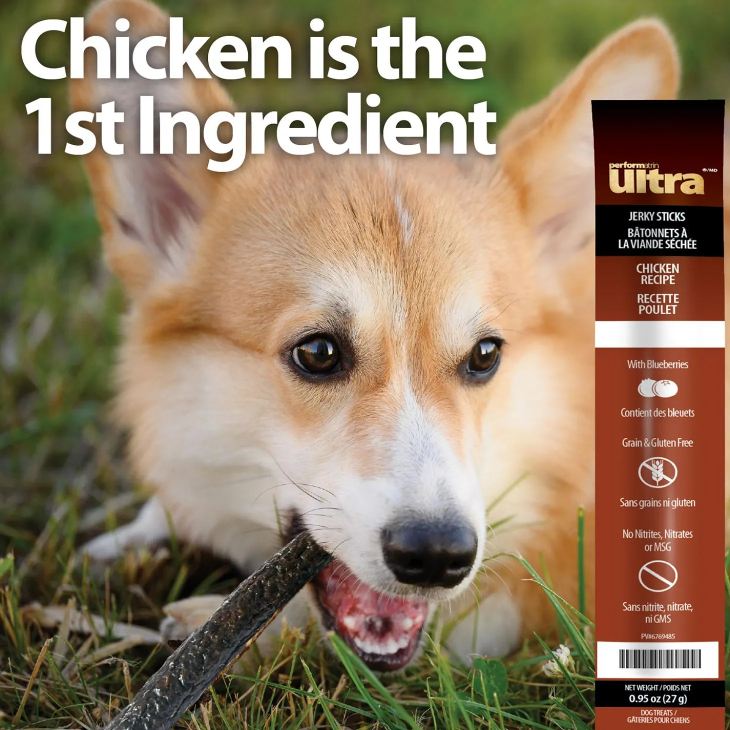 Jerky Sticks Chicken Recipe Dog Treats