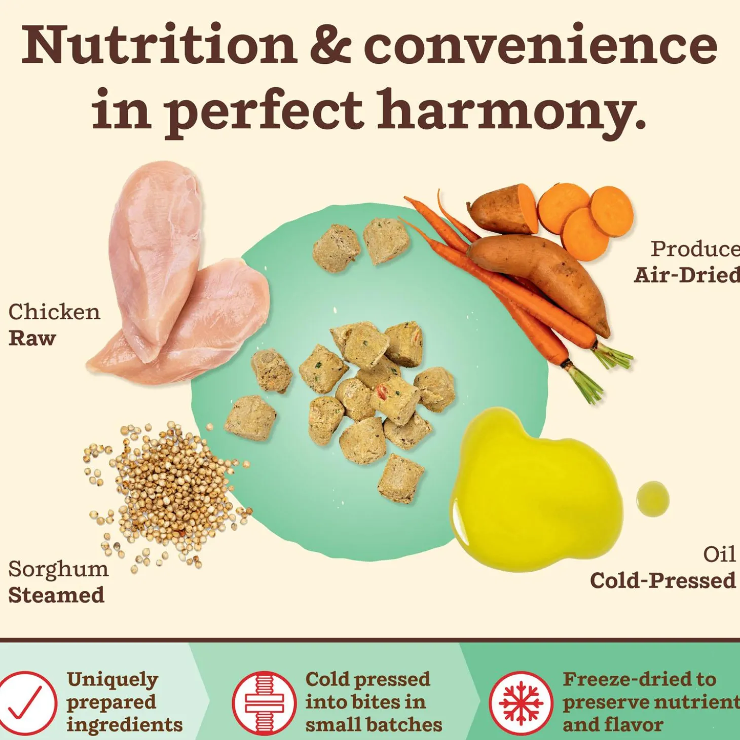 Kibble in the Raw Chicken Recipe Adult Dog Food