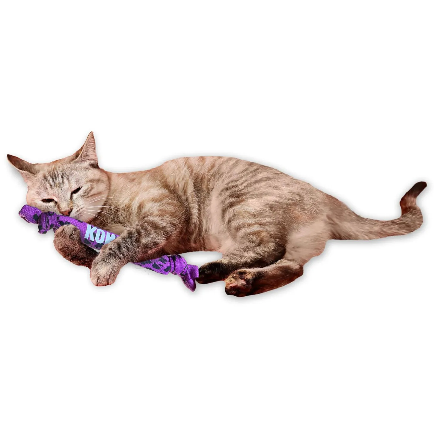 Kickeroo Crunch Cat Toy