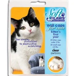Kitten Clear Nail Caps Take Home Kit