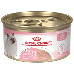 Kitten Loaf in Sauce Cat Food