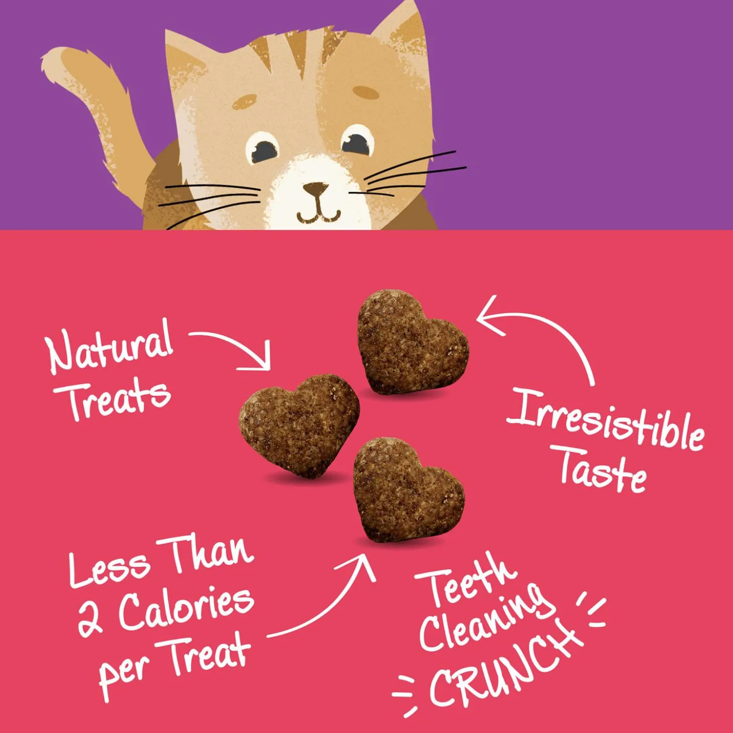 Kittles Salmon & Cranberries Recipe Cat Treats