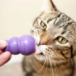Kitty Kong Cat Toy