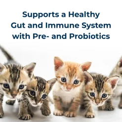 KMR Kitten Milk Replacer Powder