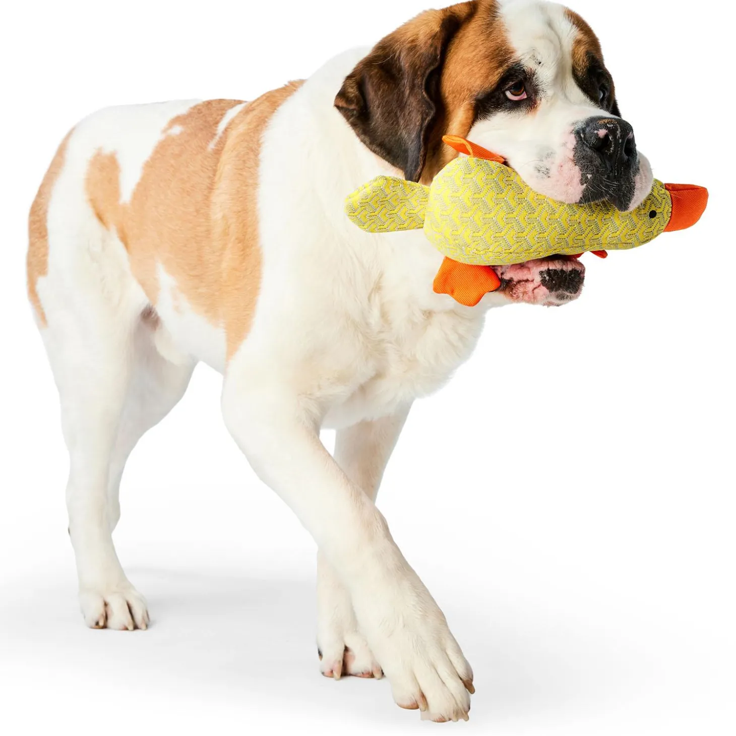 Knit Tuff Platypus Dog Toy