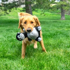 Knots Belly Gorilla Dog Toy