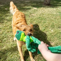 Knots Frog Dog Toy