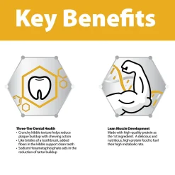 Lamb Meal & Brown Rice Formula Puppy Dog Food