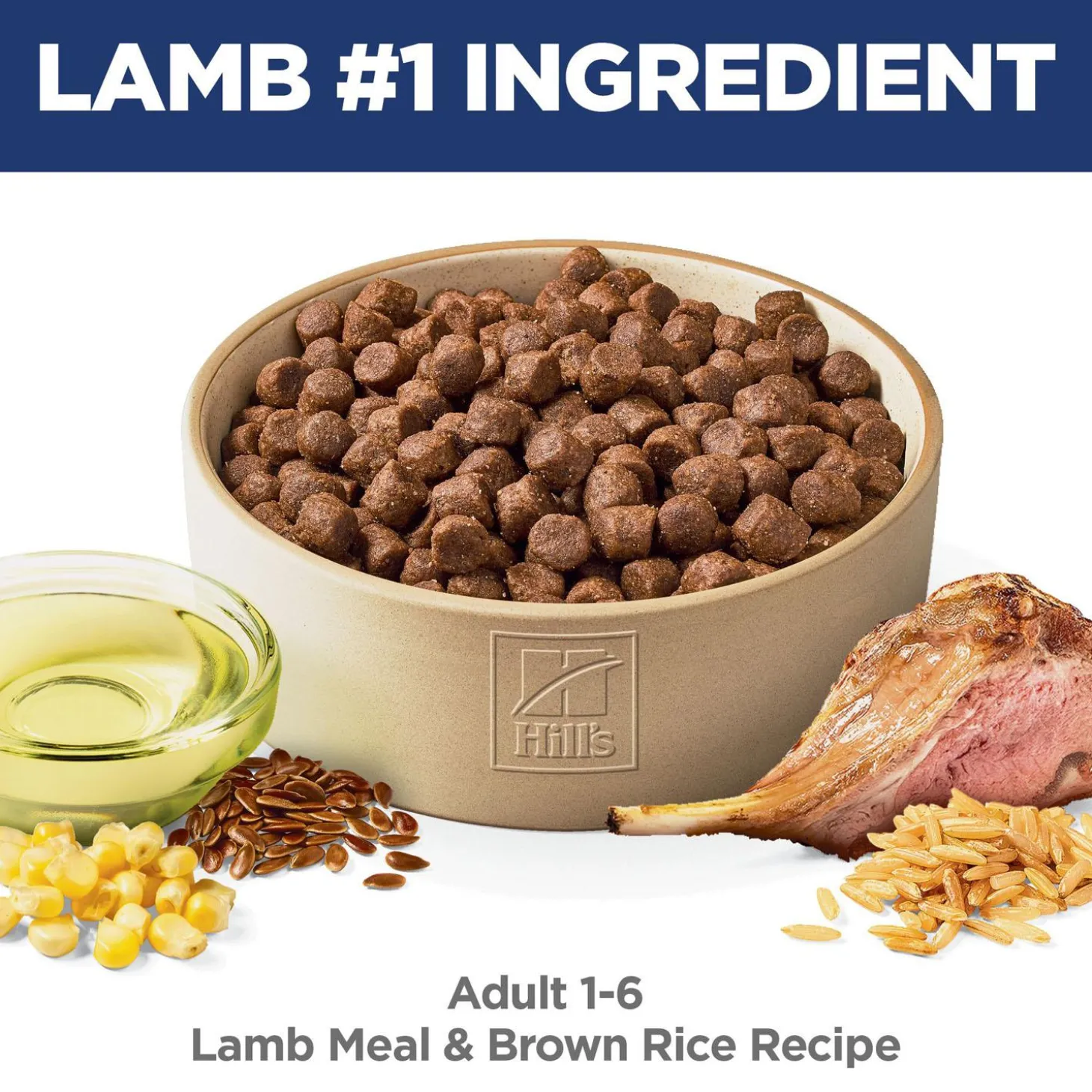 Lamb Meal & Brown Rice Recipe Adult Dog Food