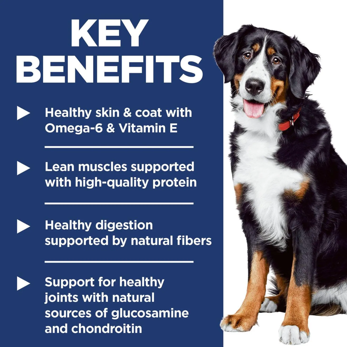 Lamb Meal & Brown Rice Recipe Large Breed Adult Dog Food