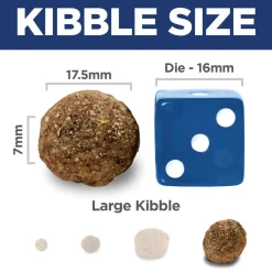 Lamb Meal & Brown Rice Recipe Large Breed Adult Dog Food