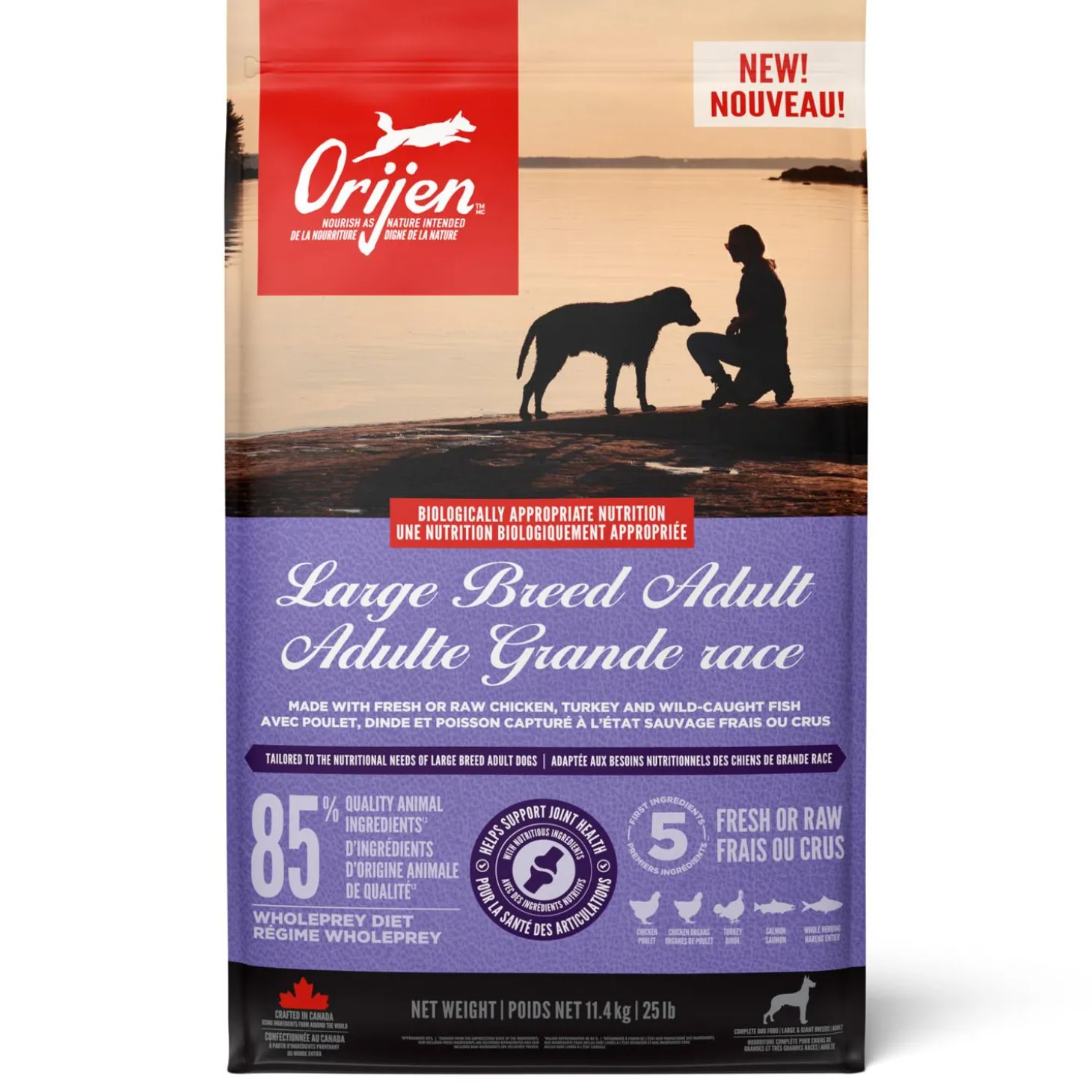 Large Breed Adult Dog Food