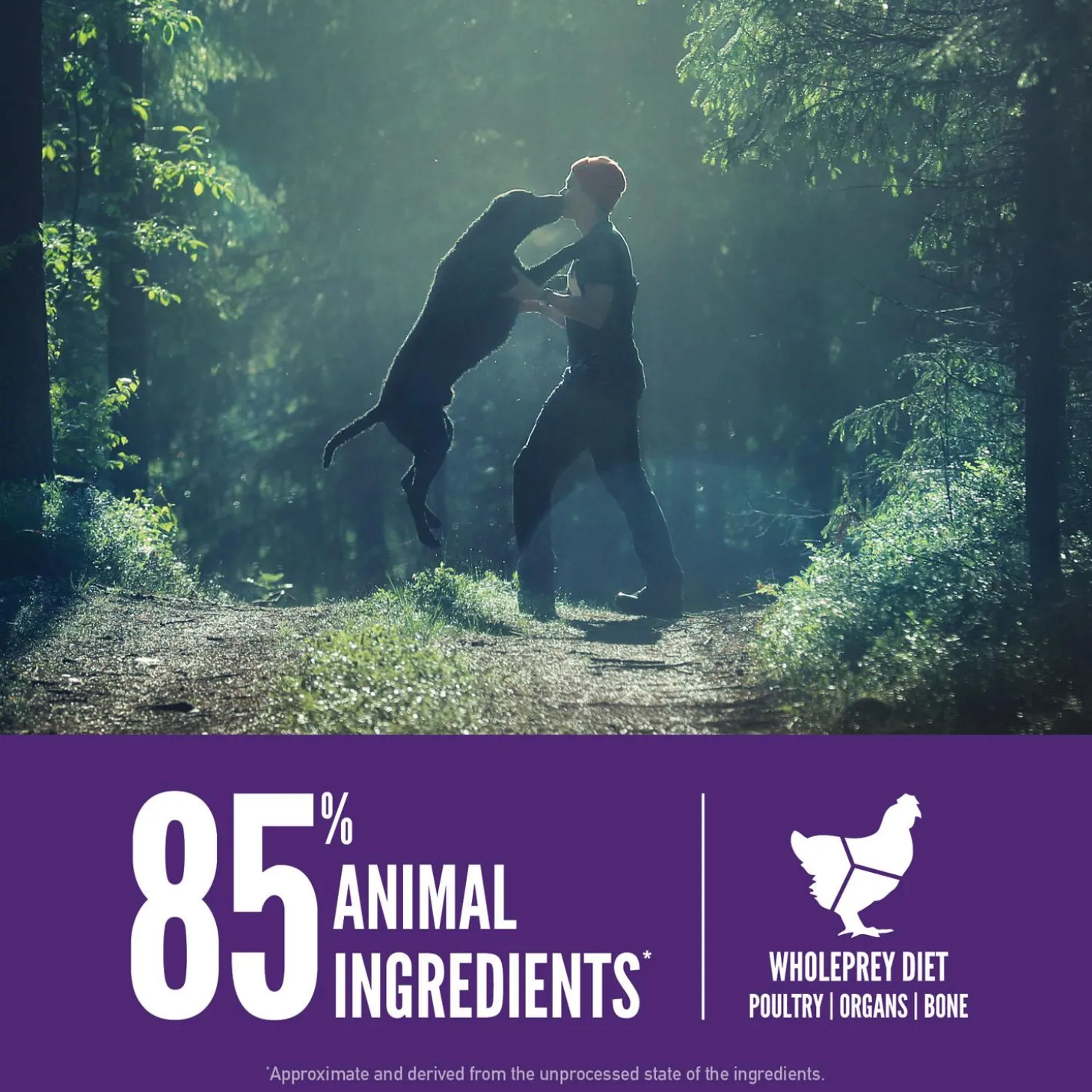 Large Breed Adult Dog Food