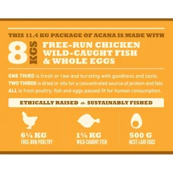 Large Breed Recipe Puppy Dog Food