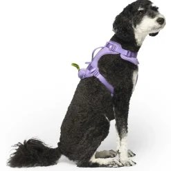 Lavender Neoprene Dog Harness