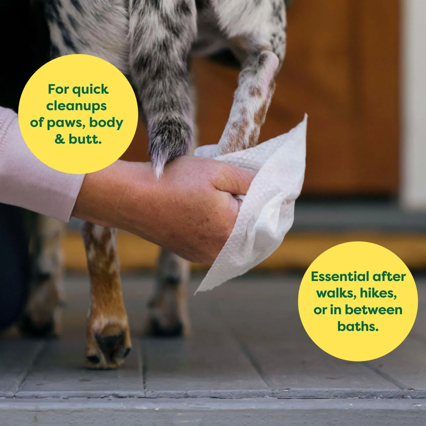 Lavender-Scented Hypoallergenic Dog Grooming Wipes