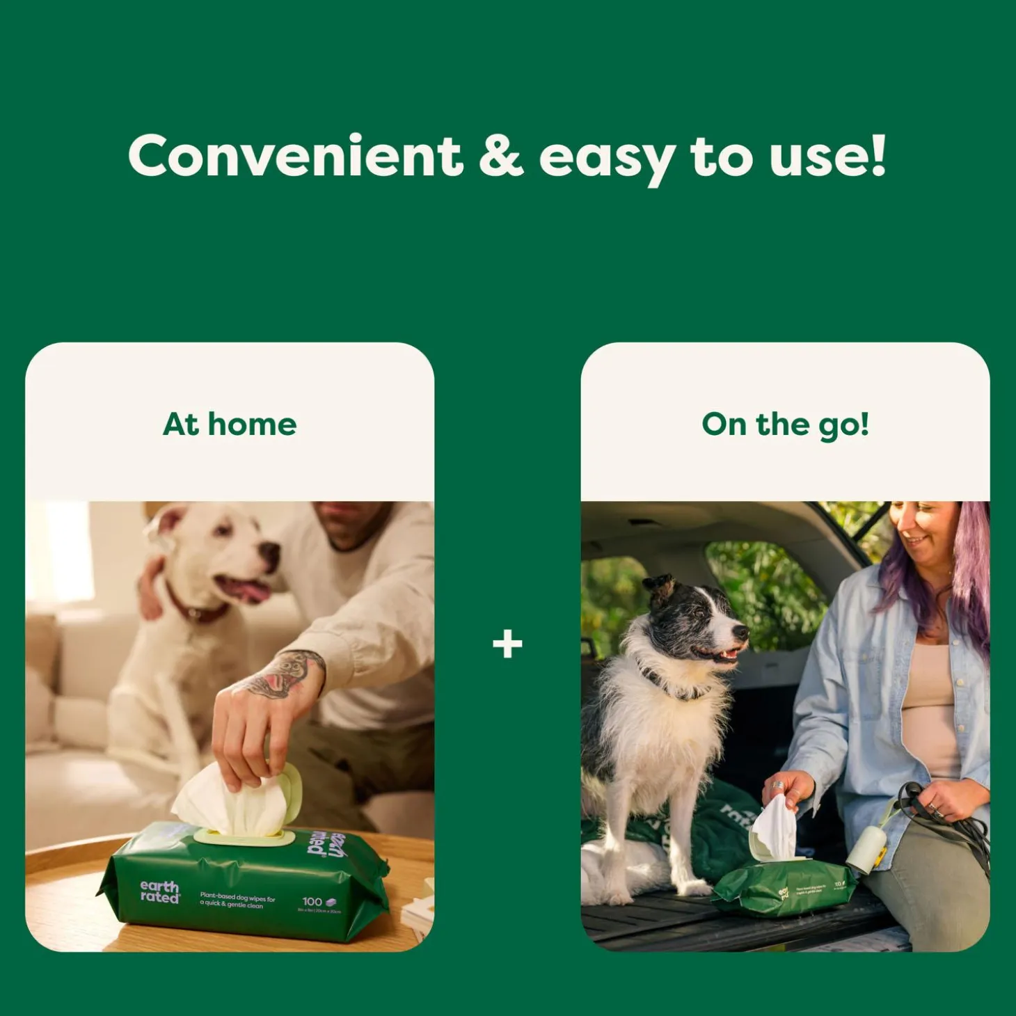 Lavender-Scented Hypoallergenic Dog Grooming Wipes