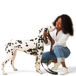 Leather 1in Black Dog Leash