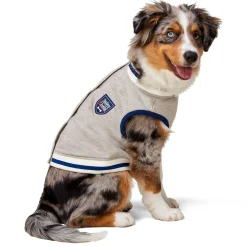 Letterman Grey Jacket