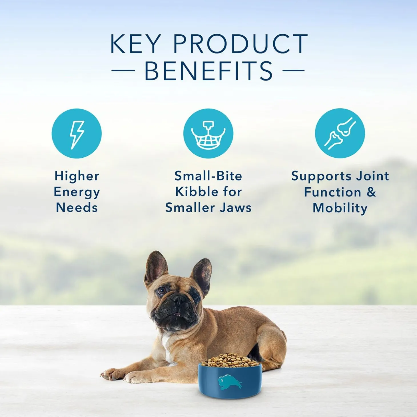 Life Protection Formula Beef & Brown Rice Recipe Small Breed Adult Dog Food