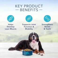 Life Protection Formula Chicken & Brown Rice Recipe Large Breed Adult Dog Food