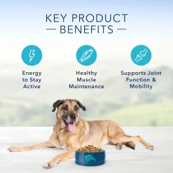 Life Protection Formula Chicken & Brown Rice Recipe Senior Dog Food