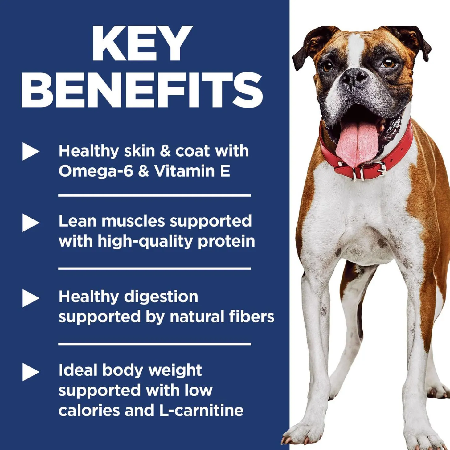 Light with Chicken Meal & Barley Recipe Adult Dog Food