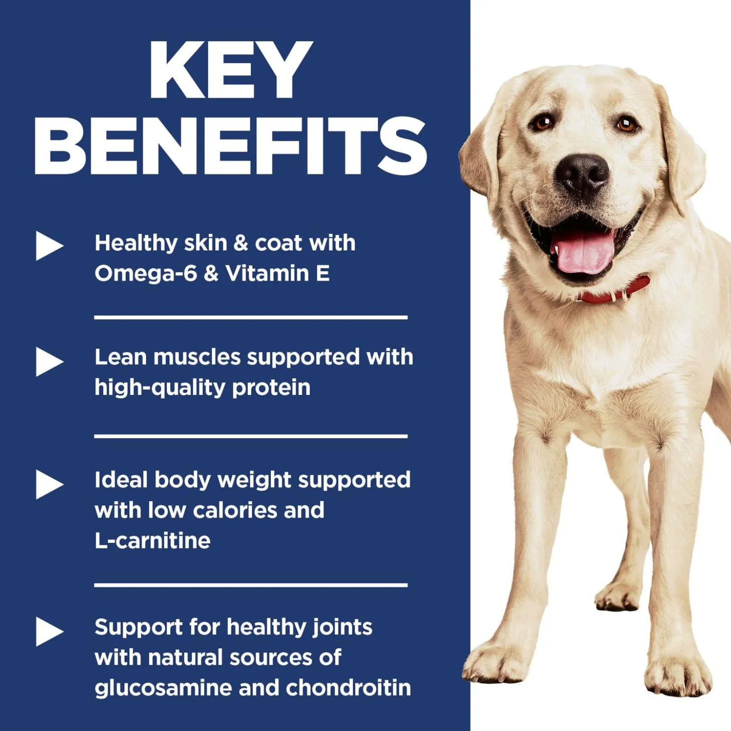 Light with Chicken Meal & Barley Large Breed Adult Dog Food