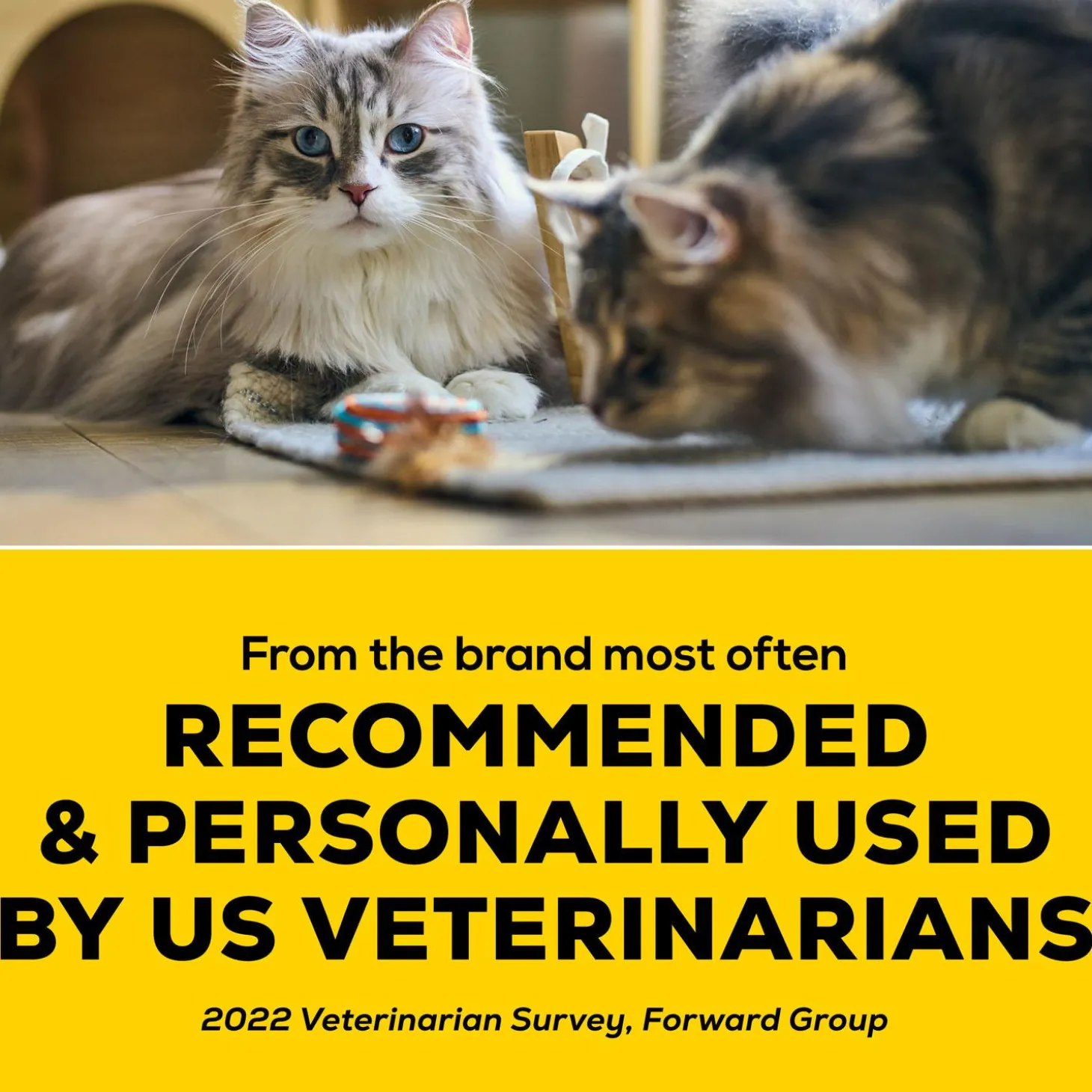 LightWeight with Glade Clear Springs Clumping Cat Litter