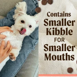 Lil' Plates Real Salmon & Sweet Potato Small Breed Adult Dog Food