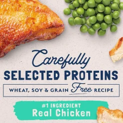 Limited Ingredient Chicken & Green Pea Formula Adult Cat Food