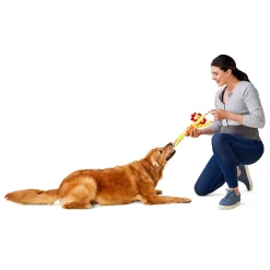Lion Rope Dog Toy