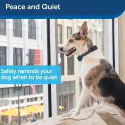 Lite Rechargeable Bark Control Dog Collar