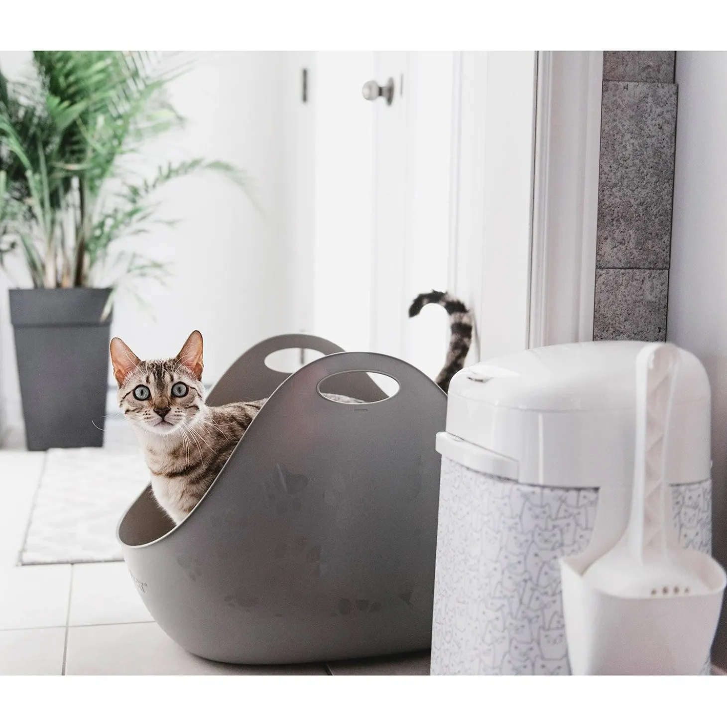 LitterBox with Scoop