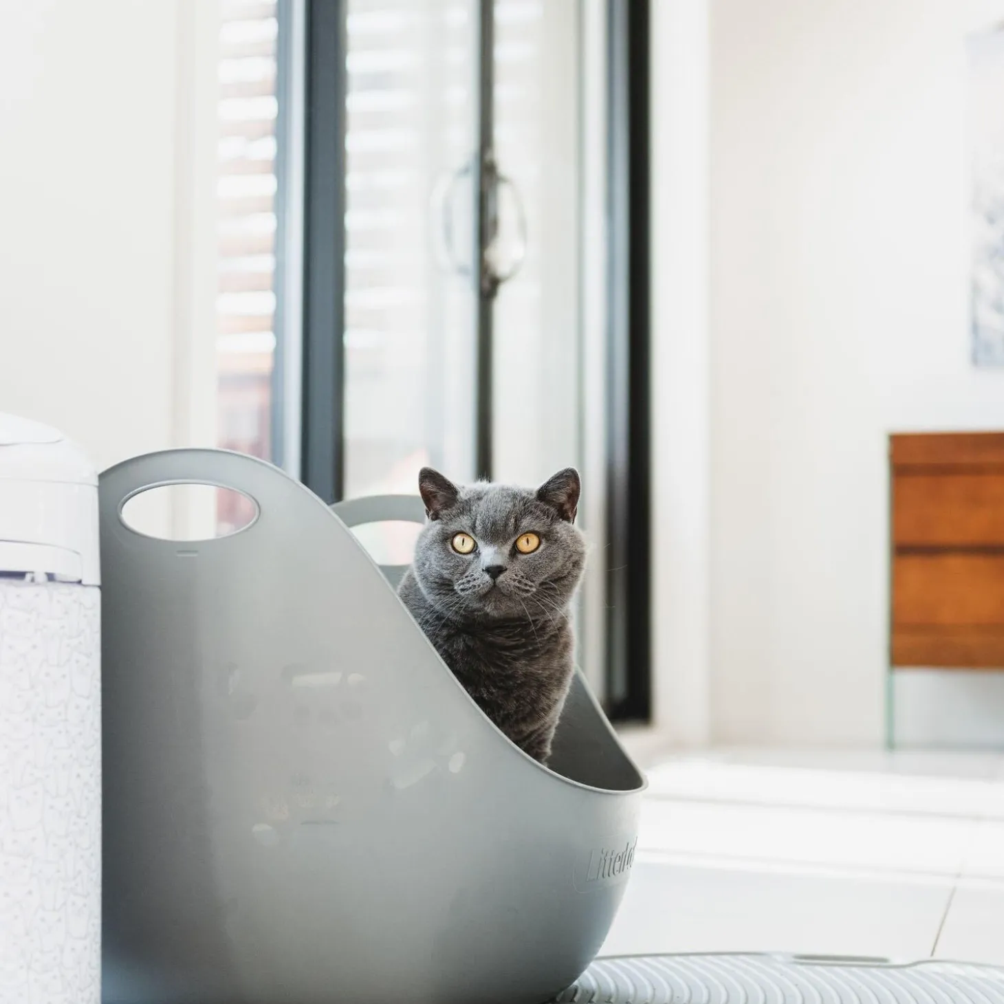 LitterBox with Scoop