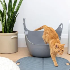 LitterBox with Scoop