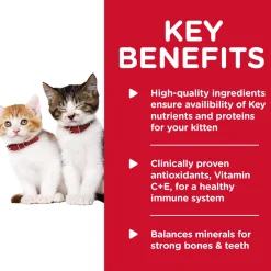 Liver & Chicken Entree Kitten Cat Food