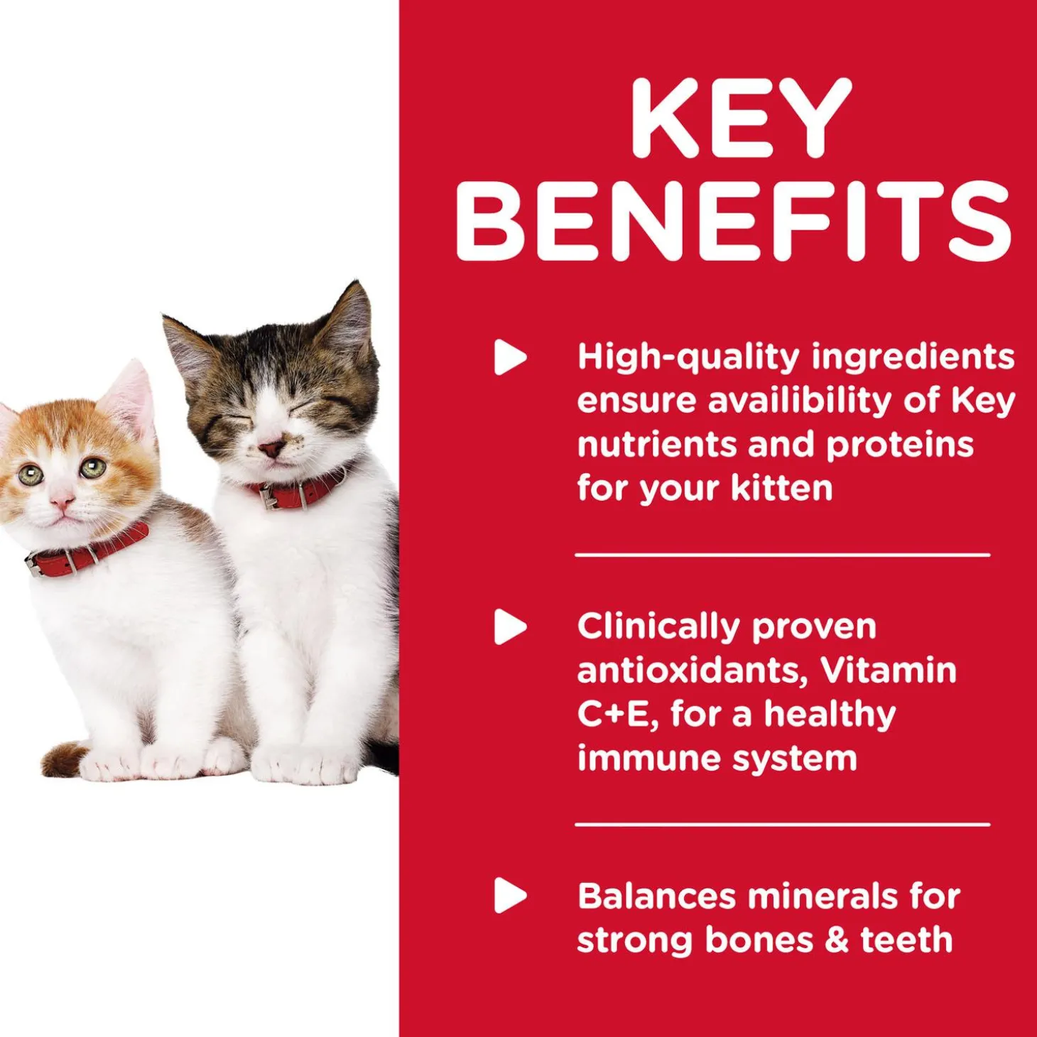 Liver & Chicken Entree Kitten Cat Food